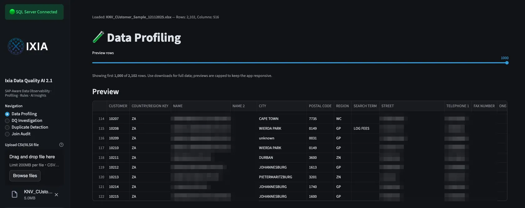 Data profiling view showing a live preview of a customer extract with thousands of rows across hundreds of columns
